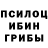 Галлюциногенные грибы мухоморы Pasha Russkih