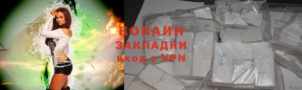 ПСИЛОЦИБИНОВЫЕ ГРИБЫ Нея