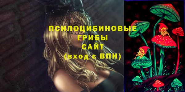 а пвп мука Надым