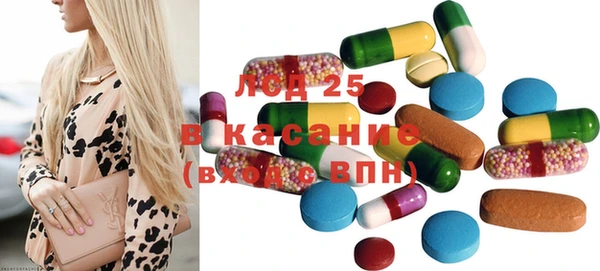 индика Михайловск